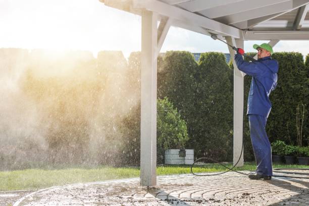 Best Patio and Deck Pressure Washing  in Scanlon, MN